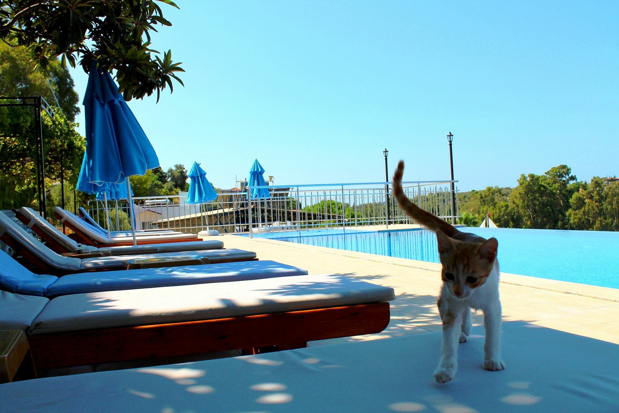 Hotel Patara Sun Club 外观 照片